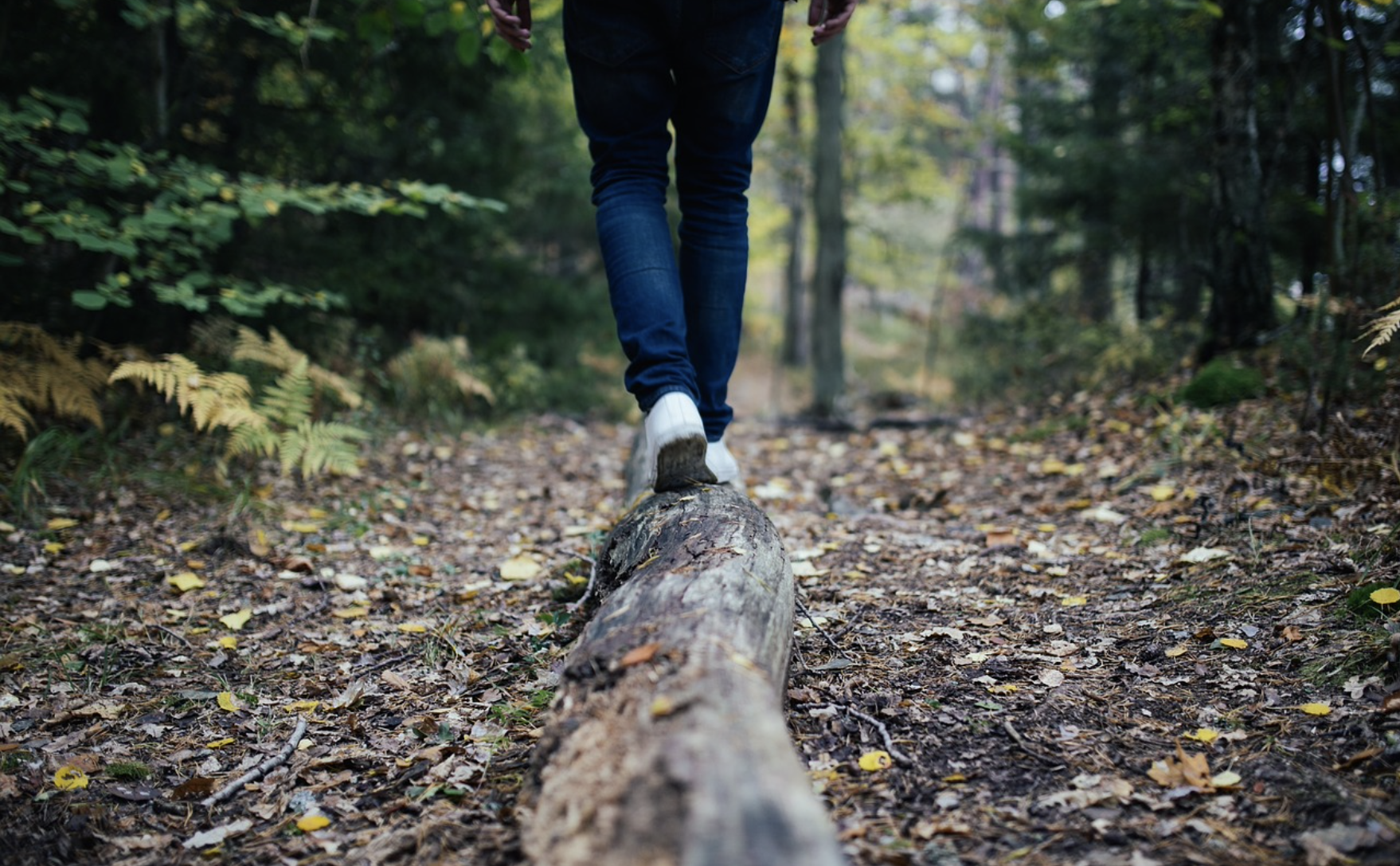 Waldweg