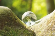 Screenshot 2026-03-10 105351